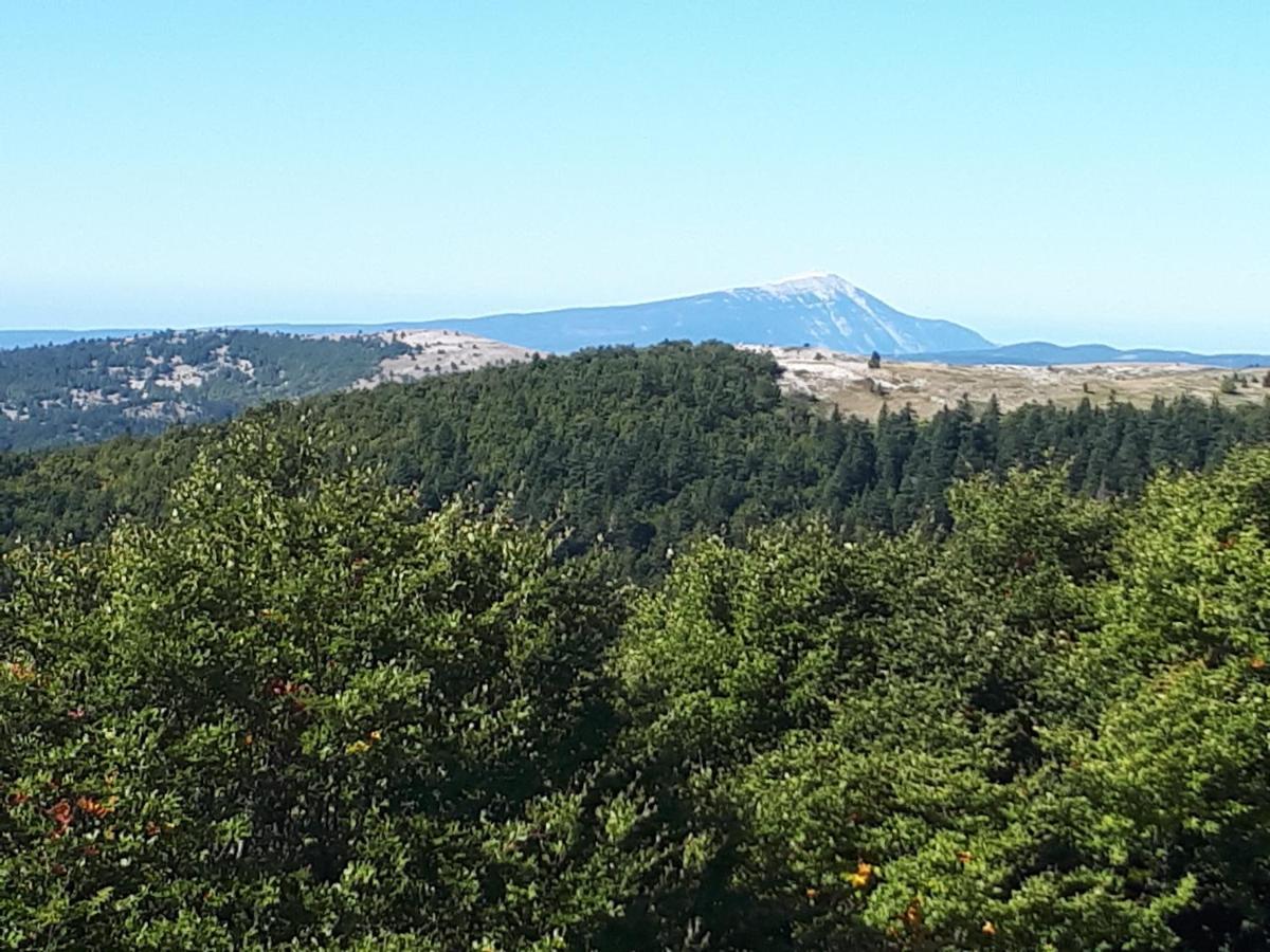 Bed & Breakfast La Maison De Lalouette