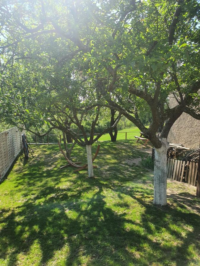 La Maison De Lalouette Bed & Breakfast Forcalquier